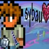 sybau22811