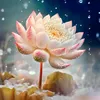 v.nh.thi1