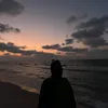 sydneyaturservice