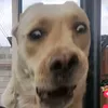 memikgames