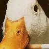 duck.man579