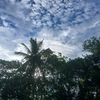 randiganteng000