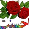 user8704117196850