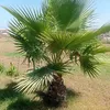 mohamad.badro