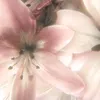 toyamayw