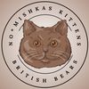 British Shorthair Cattery