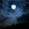 moon77f7