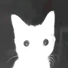 br47nr0t.au