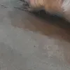 nho_dungtrltncuataonha_