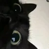 whoisdatmj