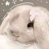 babyyuki_.2013