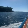 meg.noble2