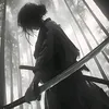 tybo_hanko