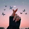 gillani.g77