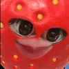 quinanhno