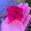 user6878476176771