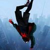 _alex_6791