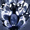 hollowknight811