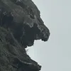 dizrex