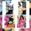 sumi.akhter428