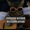 chernakov.dmitri