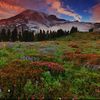 paradisemountrainier