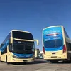 Busologia Bahia