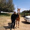 user3561217210810
