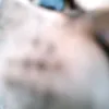 celilazy