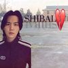 malak.ahmed14478