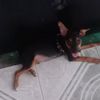 brayan.de.la.cruz769