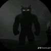 zorro99kg