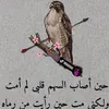 user79597201034411