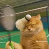muhehehe677