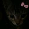 li.zaqq_qwurr42