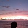 pndi_3