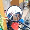 devi.aprita.245