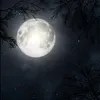 meu.sol.de.primav