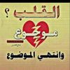 user8135798146236