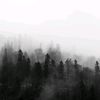 sovanov_safri