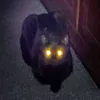 oxaewkk