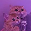 lps._.floracska9lps