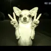 tani_x87