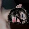 dilange_rsahy3