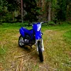 olle_bollis