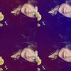 gkzknsbbs