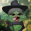 naya_nay241