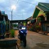 arga jr