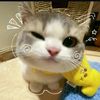 4ku_ilya