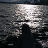 aiizam_29